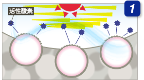 風と微粒子によって表層が摩耗 酸化チタンが紫外線と反応し活性酸素を発生させる