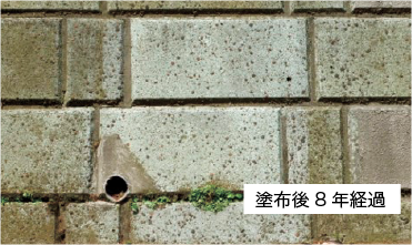 吸水防止効果の持続